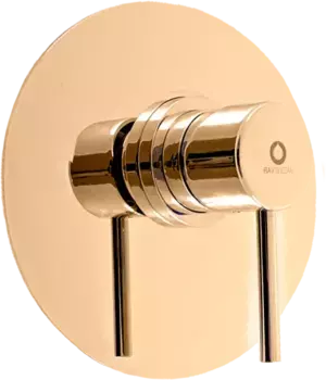 Смеситель для душа Rav Slezak Seina золото