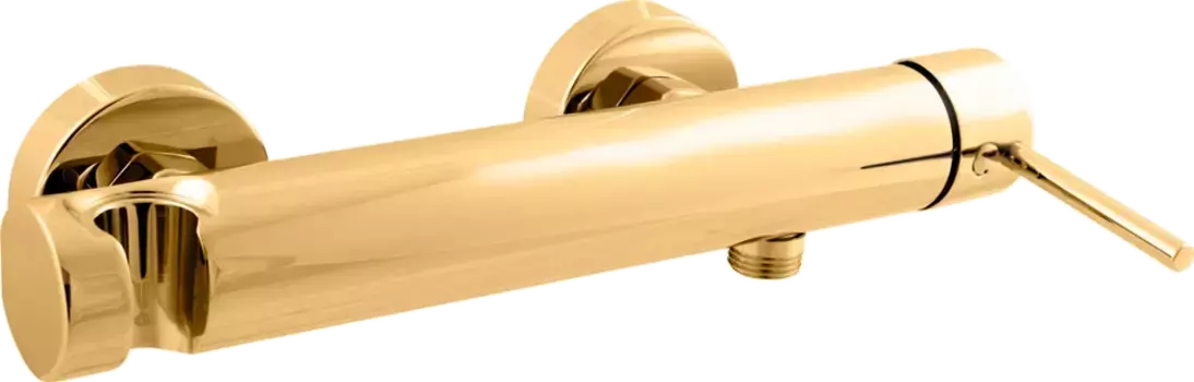 Смеситель для душа Rav Slezak Seina золото