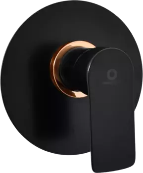 Смеситель для душа Rav Slezak Vltava черный матовый - золото