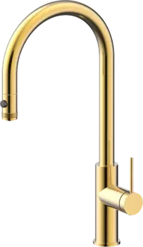 Смеситель для кухни Paulmark Galant Ga213077-SBG светлое брашированное золото