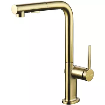 Смеситель для кухни Paulmark Neo брашированное золото
