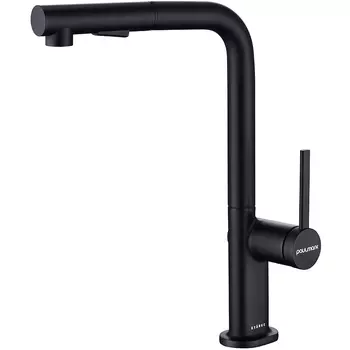 Смеситель для кухни Paulmark Neo темно серый - черный матовый