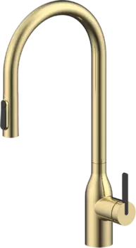 Смеситель для кухни Paulmark Universal Un213880-SBG светлое брашированное золото
