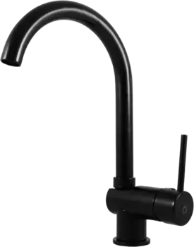 Смеситель для кухни Rav Slezak Seina черный матовый