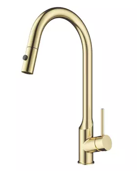 Смеситель для кухни Wonzon & Woghand WW-A21252-BG брашированное золото