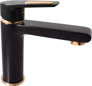 Смеситель для раковины Rav Slezak Colorado CO328.5CMATZ черный матовый, золото