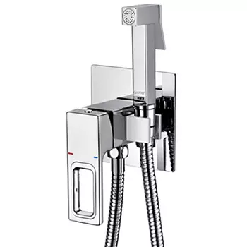 Смеситель с гигиеническим душем Gappo G18 G7218