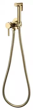 Смеситель встраиваемый с гигиеническим душем Grocenberg GB001 Золото