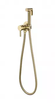 Смеситель встраиваемый с гигиеническим душем Grocenberg GB001MG Матовый золото