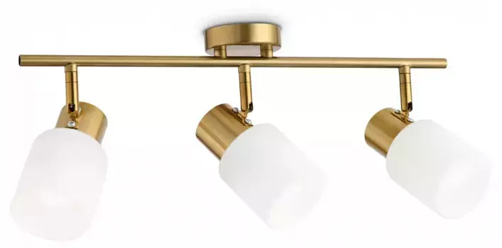 Спот Ambrella Light TR TR3972