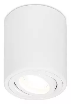 Спот Ambrella TN TN225