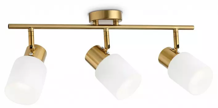 Спот Ambrella TR TR3972