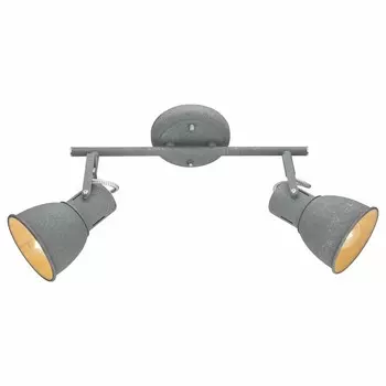 Спот Arte Lamp A1677PL-2GY