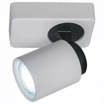 Спот Citilux Норман CL533510