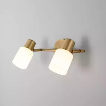 Спот Eurosvet Corso 20089/2 бронза