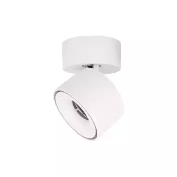 Спот Loft IT Focus 10323/A White