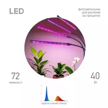 Светильник для растений Эра FITO-40W-АLED-RB Б0068219