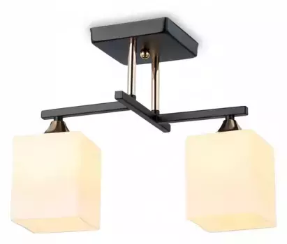 Светильник на штанге Ambrella TR TR303112