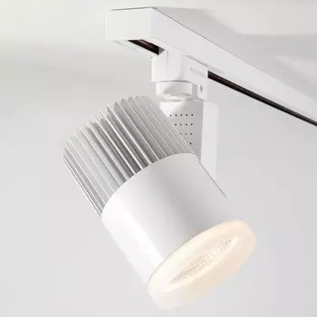 Светильник на штанге Elektrostandard Accord LTB43