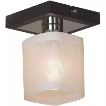 Светильник на штанге Lussole Costanzo LSL-9007-01