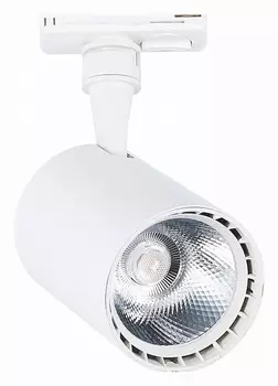 Светильник на штанге ST-Luce Cami ST351.536.20.36