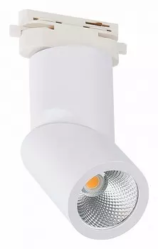 Светильник на штанге ST-Luce ST650 ST650.546.10