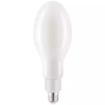 Светодиодная лампа General GLDEN-ED90M-55-230-E27-6500 661638