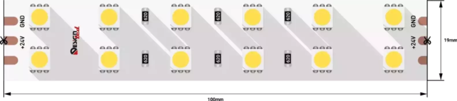 Светодиодная лента DesignLed DSG5120-24-W+WW-33 000515