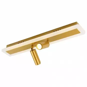 Светодиодный спот Arte Lamp Tommy A2607PL-22GO