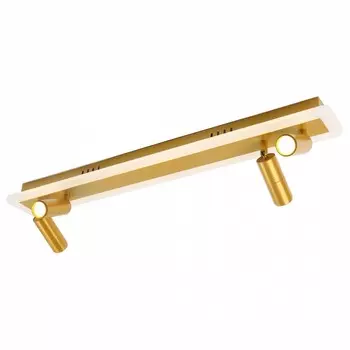 Светодиодный спот Arte Lamp Tommy A2607PL-30GO