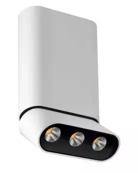 Светодиодный спот Lumien Hall Фергус 8005/3CM-WT-BK