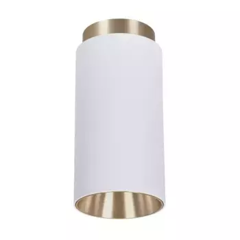 Точечный накладной светильник Arte Lamp CONE A5361PL-1WH