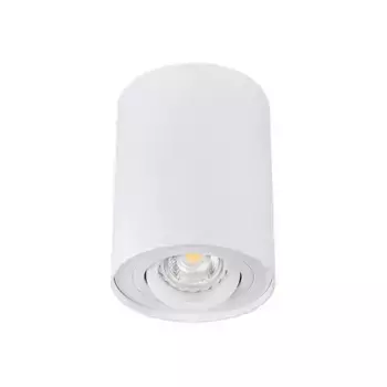 Точечный светильник Kanlux BORD DLP-50-W 22551