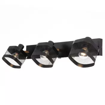 Торшер Citilux CL809010N