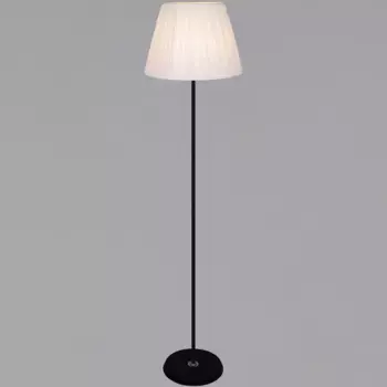 Торшер Reluce 08088-0.6-01 BK