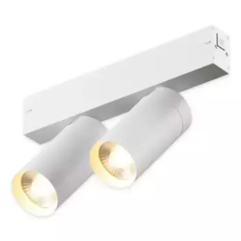 Трековый однофазный светильник AM Group AM528 WH-220V-2X10W SMART