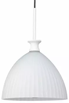 Трековый светильник Lightstar Agola (810020+595007) PRO810020