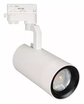 Трековый светодиодный светильник Arlight LGD-Gelios-4TR-R95-40W Day4000 031227
