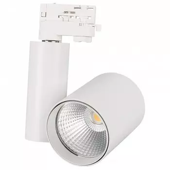 Трековый светодиодный светильник Arlight LGD-Shop-4TR-R100-40W Day4000 025398