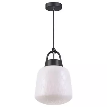 Уличный подвесной светильник Novotech Street Conte 370601