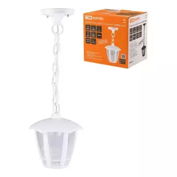 Уличный подвесной светильник TDM Electric Сити НСУ 07-60-002 SQ0330-1318