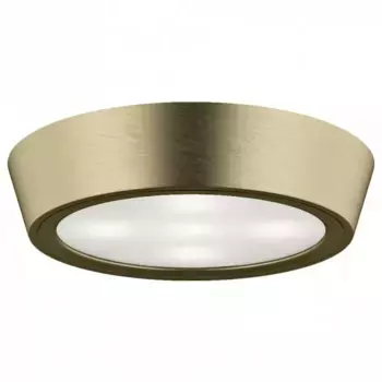 Уличный светодиодный светильник Lightstar Urbano 214914