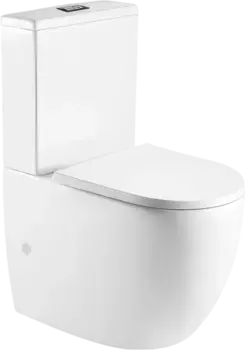 Унитаз-компакт Weltwasser Merzbach 10000012089 с сиденьем микролифт, белый