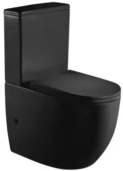Унитаз-компакт Weltwasser Merzbach 10000013291 с сиденьем микролифт, черный матовый