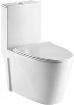 Унитаз-моноблок Weltwasser Welzbach 001 с сиденьем микролифт, белый глянец