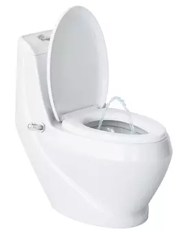 Унитаз-моноблок Laguraty с биде 2160AС