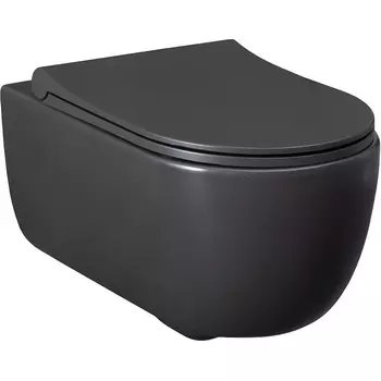 Унитаз подвесной Allen Brau Priority безободковый с сиденьем микролифт антрацит