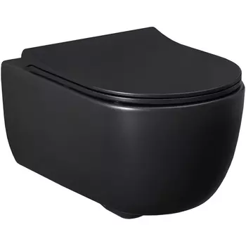 Унитаз подвесной Allen Brau Priority безободковый с сиденьем микролифт черный матовый