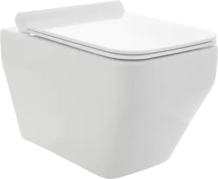 Унитаз подвесной AQUAme AQM2009 безободковый, с микролифтом