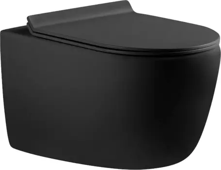 Унитаз подвесной Aquanet Cetus 287008 безободковый, с микролифтом, черный матовый